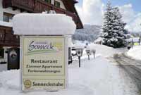 Ferienhaus Ski Schwarzwald